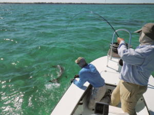 2012-01-07 03-48-58 0339 800x600