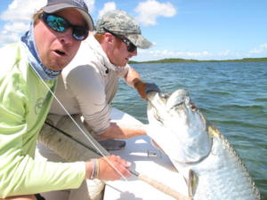 big-tarpon 800x600